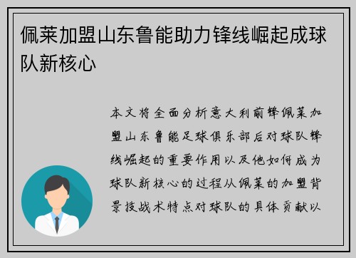 佩莱加盟山东鲁能助力锋线崛起成球队新核心 佩莱加盟山东鲁能助力锋线崛起成球队新核心